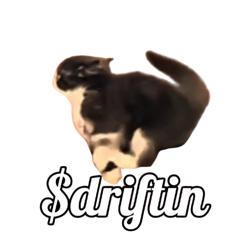 Drifting Cat